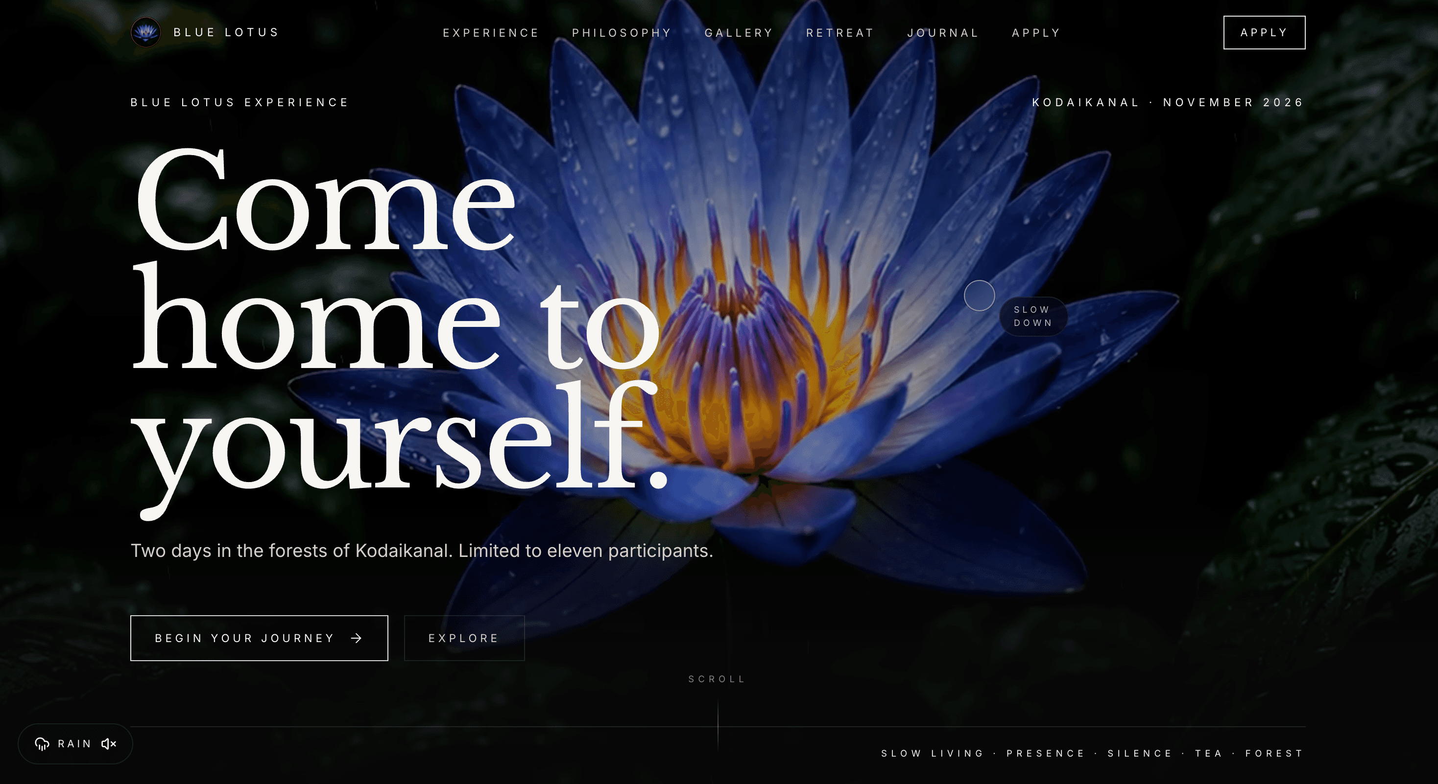 Blue Lotus Experience preview